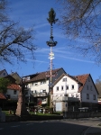 Maibaum 2006