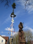 Maibaum 2006
