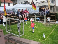 Maibaum 2006