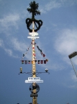 Maibaum 2006