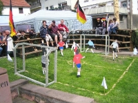 Maibaum 2006