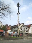 Maibaum 2006