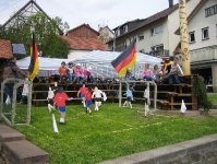 Maibaum 2006
