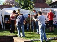 Maibaum 2007