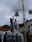 Maibaum 2008