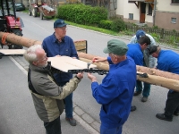 Maibaum 2009