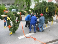 Maibaum 2009