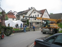 Maibaum 2009