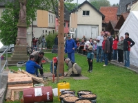 Maibaum 2009