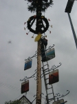 Maibaum 2009