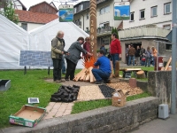 Maibaum 2009