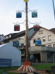 Maibaum 2009