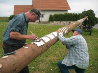 Maibaum 2009