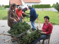 Maibaum 2009
