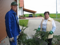 Maibaum 2009