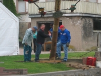 Maibaum 2010