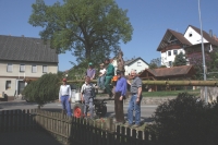 Maibaum 2011