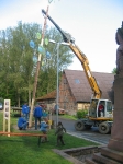 Maibaum 2011