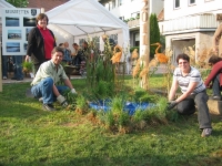 Maibaum 2011