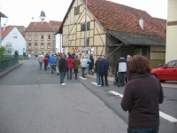 Maibaum 