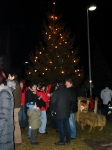 Nikolausfeier 2007