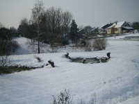Winter 2004-2005