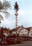 TSV Feste (historisch)