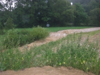 Hochwasser 03.07.2009