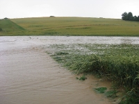 Hochwasser 03.07.2009