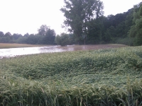 Hochwasser 03.07.2009