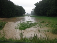 Hochwasser 03.07.2009