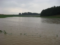 Hochwasser 03.07.2009