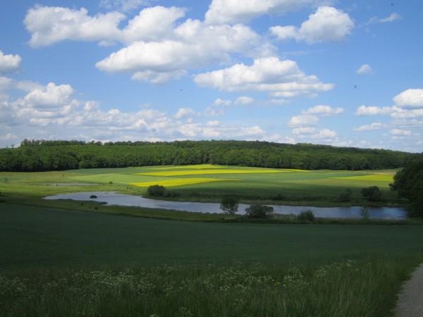 nsgimsee1