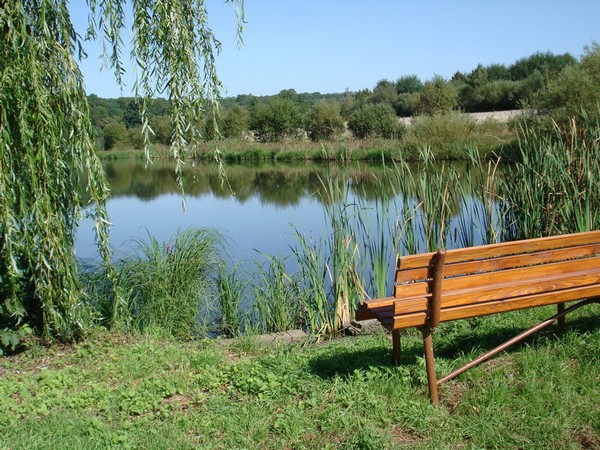 nsgimsee2